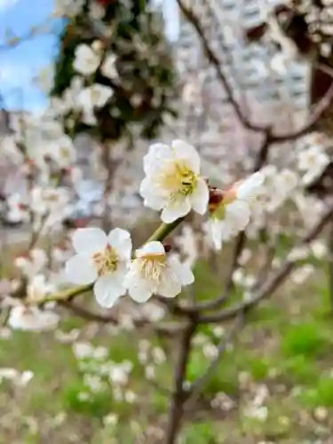 榴岡天満宮(宮城県)
