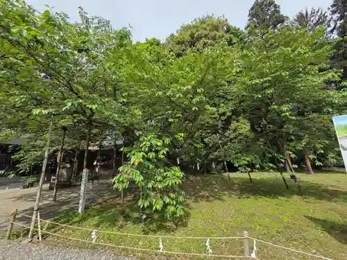 伊佐須美神社(福島県)