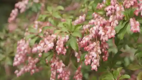 長岡天満宮の自然