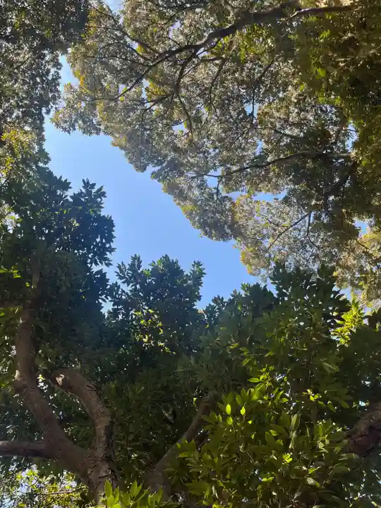 大宮・大原神社(千葉県)