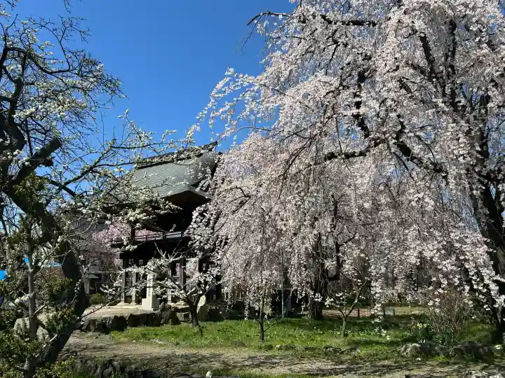 安養寺の{uncategorized: "未分類", other: "その他", undefined: "問題あり", building: "その他建物", grave: "お墓", sacred_gate: "鳥居", guardian: "狛犬", statue: "像", buddha: "仏像", history: "歴史", nature: "自然", garden: "庭園", animal: "動物", pagoda: "塔", temizu: "手水舎", mountain_gate: "山門・神門", sanctuary: "本殿・本堂", subordinate: "末社・摂社", art: "芸術", scenery: "景色", jizo: "地蔵", ema: "絵馬", goshuin: "御朱印", omikuji: "おみくじ", items: "授与品その他", amulet: "お守り", goshuincho: "御朱印帳", eats: "食事", festival: "お祭り", votive_dance: "神楽", shichigosan: "七五三参", wedding: "結婚式", experience: "体験その他", initially: "初詣", around: "周辺", anti_infection: "感染症対策"}