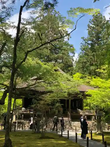 三千院門跡の本殿・本堂