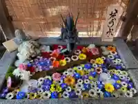 札幌諏訪神社の手水舎