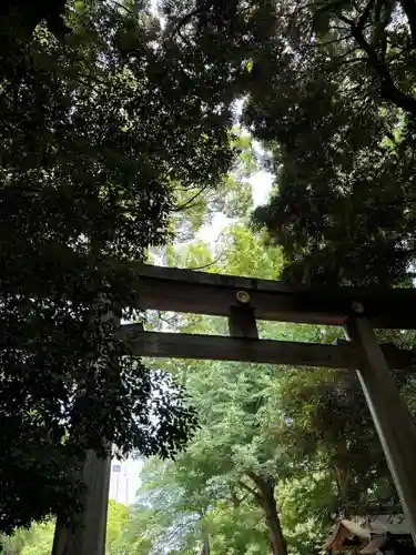 明治神宮(東京都)