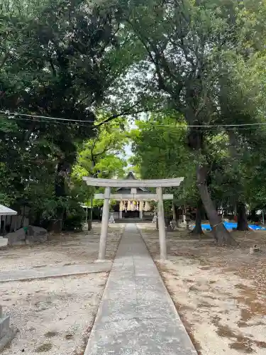 綿神社の{uncategorized: "未分類", other: "その他", undefined: "問題あり", building: "その他建物", grave: "お墓", sacred_gate: "鳥居", guardian: "狛犬", statue: "像", buddha: "仏像", history: "歴史", nature: "自然", garden: "庭園", animal: "動物", pagoda: "塔", temizu: "手水舎", mountain_gate: "山門・神門", sanctuary: "本殿・本堂", subordinate: "末社・摂社", art: "芸術", scenery: "景色", jizo: "地蔵", ema: "絵馬", goshuin: "御朱印", omikuji: "おみくじ", items: "授与品その他", amulet: "お守り", goshuincho: "御朱印帳", eats: "食事", festival: "お祭り", votive_dance: "神楽", shichigosan: "七五三参", wedding: "結婚式", experience: "体験その他", initially: "初詣", around: "周辺", anti_infection: "感染症対策"}