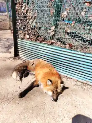 御金稲荷神社(宮城県)