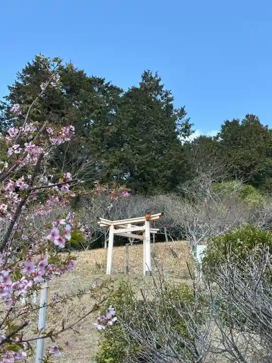 谷崎天神社の{uncategorized: "未分類", other: "その他", undefined: "問題あり", building: "その他建物", grave: "お墓", sacred_gate: "鳥居", guardian: "狛犬", statue: "像", buddha: "仏像", history: "歴史", nature: "自然", garden: "庭園", animal: "動物", pagoda: "塔", temizu: "手水舎", mountain_gate: "山門・神門", sanctuary: "本殿・本堂", subordinate: "末社・摂社", art: "芸術", scenery: "景色", jizo: "地蔵", ema: "絵馬", goshuin: "御朱印", omikuji: "おみくじ", items: "授与品その他", amulet: "お守り", goshuincho: "御朱印帳", eats: "食事", festival: "お祭り", votive_dance: "神楽", shichigosan: "七五三参", wedding: "結婚式", experience: "体験その他", initially: "初詣", around: "周辺", anti_infection: "感染症対策"}