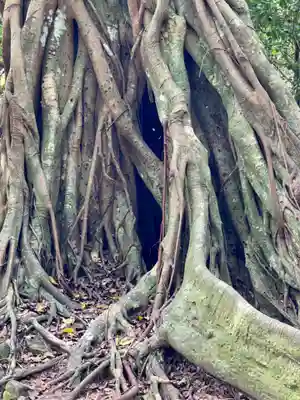 松尾天満宮(高知県)