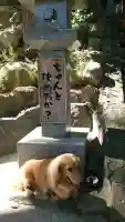 観音寺の{uncategorized: "未分類", other: "その他", undefined: "問題あり", building: "その他建物", grave: "お墓", sacred_gate: "鳥居", guardian: "狛犬", statue: "像", buddha: "仏像", history: "歴史", nature: "自然", garden: "庭園", animal: "動物", pagoda: "塔", temizu: "手水舎", mountain_gate: "山門・神門", sanctuary: "本殿・本堂", subordinate: "末社・摂社", art: "芸術", scenery: "景色", jizo: "地蔵", ema: "絵馬", goshuin: "御朱印", omikuji: "おみくじ", items: "授与品その他", amulet: "お守り", goshuincho: "御朱印帳", eats: "食事", festival: "お祭り", votive_dance: "神楽", shichigosan: "七五三参", wedding: "結婚式", experience: "体験その他", initially: "初詣", around: "周辺", anti_infection: "感染症対策"}