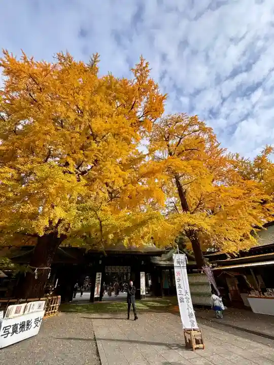 大宮八幡宮(東京都)