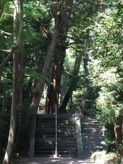 飯野高宮神山神社の建物その他