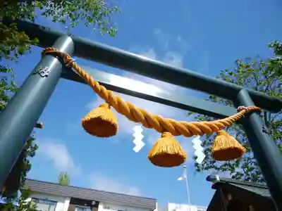 烈々布神社の鳥居