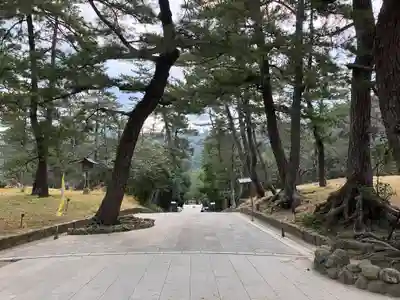 出雲大社(島根県)