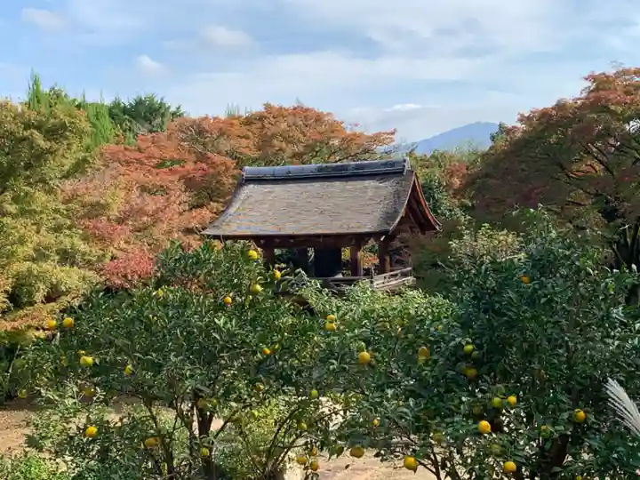 正伝護国禅寺(正伝寺・正傳寺)(京都府)