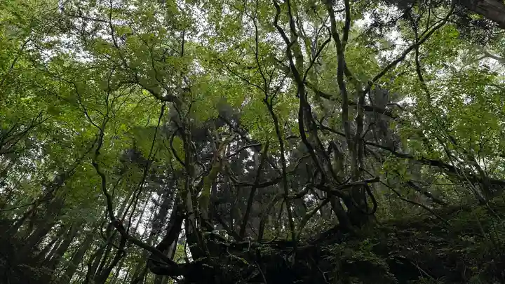 水神社(宮城県)