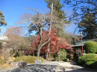 如来寺(山梨県)