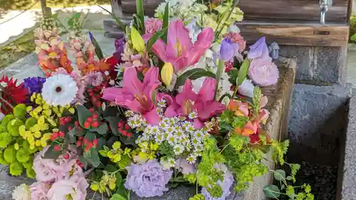 勝林寺(京都府)