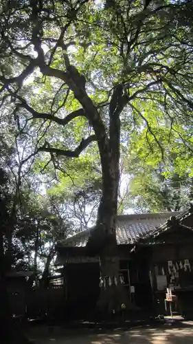 氷川女體神社(埼玉県)