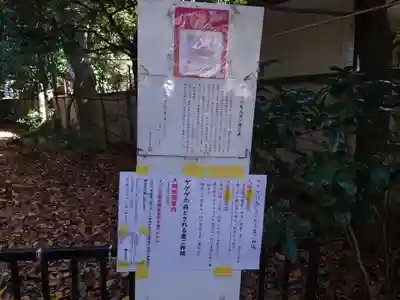 布多天神社の歴史