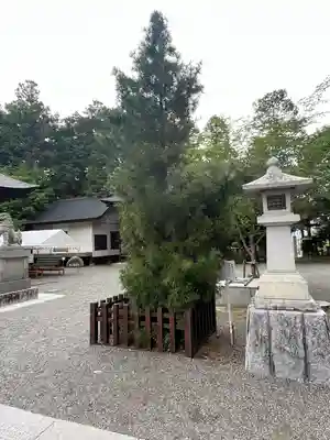 甲斐國一宮 浅間神社(山梨県)