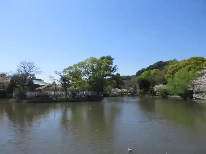 鶴岡八幡宮(神奈川県)