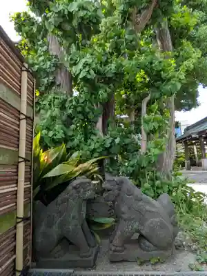 麻布氷川神社(東京都)