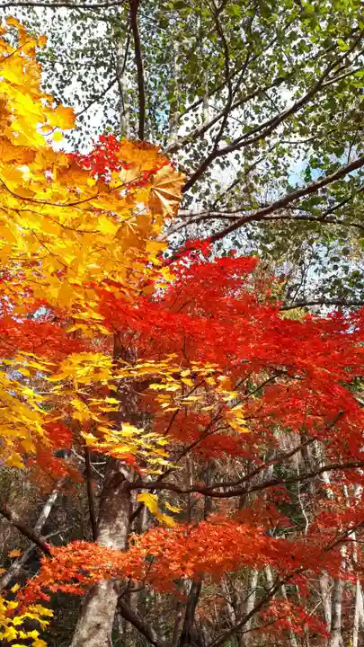 西の里神社の周辺