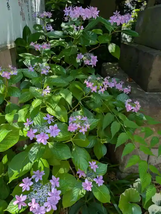 徳持神社(東京都)