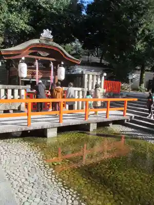 賀茂御祖神社（下鴨神社）(京都府)
