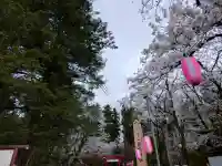 蒼柴神社の{uncategorized: "未分類", other: "その他", undefined: "問題あり", building: "その他建物", grave: "お墓", sacred_gate: "鳥居", guardian: "狛犬", statue: "像", buddha: "仏像", history: "歴史", nature: "自然", garden: "庭園", animal: "動物", pagoda: "塔", temizu: "手水舎", mountain_gate: "山門・神門", sanctuary: "本殿・本堂", subordinate: "末社・摂社", art: "芸術", scenery: "景色", jizo: "地蔵", ema: "絵馬", goshuin: "御朱印", omikuji: "おみくじ", items: "授与品その他", amulet: "お守り", goshuincho: "御朱印帳", eats: "食事", festival: "お祭り", votive_dance: "神楽", shichigosan: "七五三参", wedding: "結婚式", experience: "体験その他", initially: "初詣", around: "周辺", anti_infection: "感染症対策"}