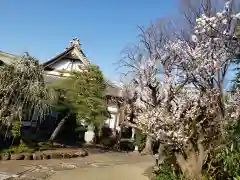 瑞円寺の建物その他