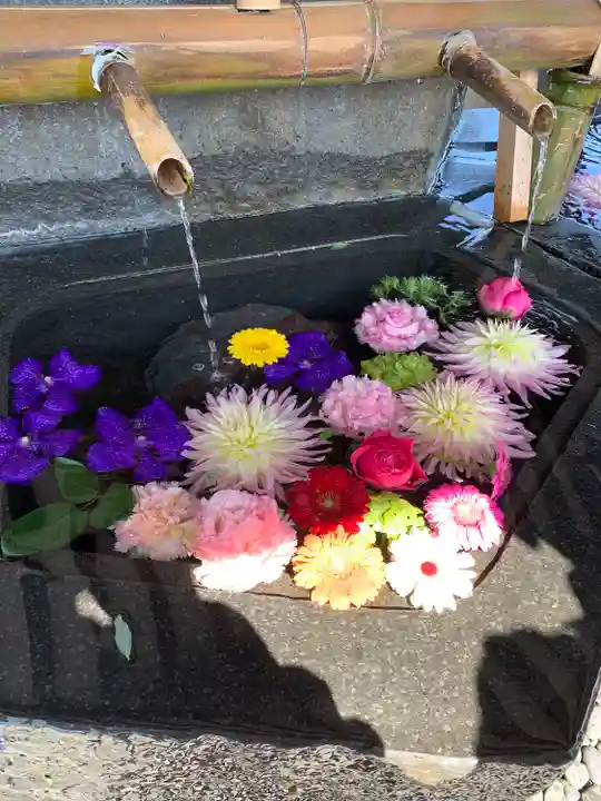 尊永寺の手水舎