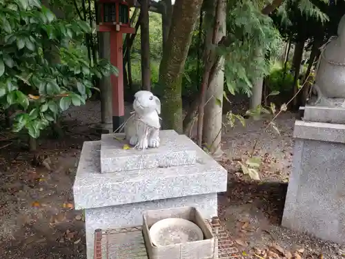 老杉神社の狛犬