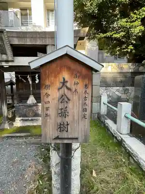 東神奈川熊野神社(神奈川県)
