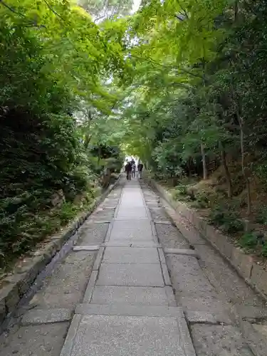 高台寺（高台寿聖禅寺・高臺寺）(京都府)