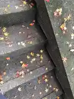 揖夜神社の自然