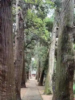 日吉神社(千葉県)