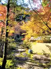 高野寺(佐賀県)