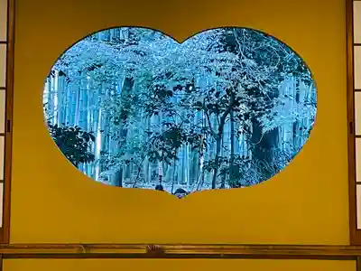 地蔵院(京都府)