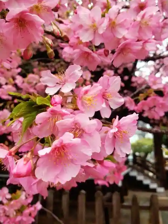 新宿下落合氷川神社(東京都)