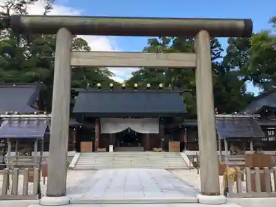 丹後一ノ宮 元伊勢 籠神社の鳥居