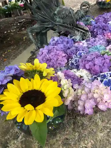 彌都加伎神社の手水舎