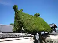 延命寺の山門・神門