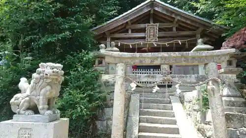 柳生八坂神社の狛犬