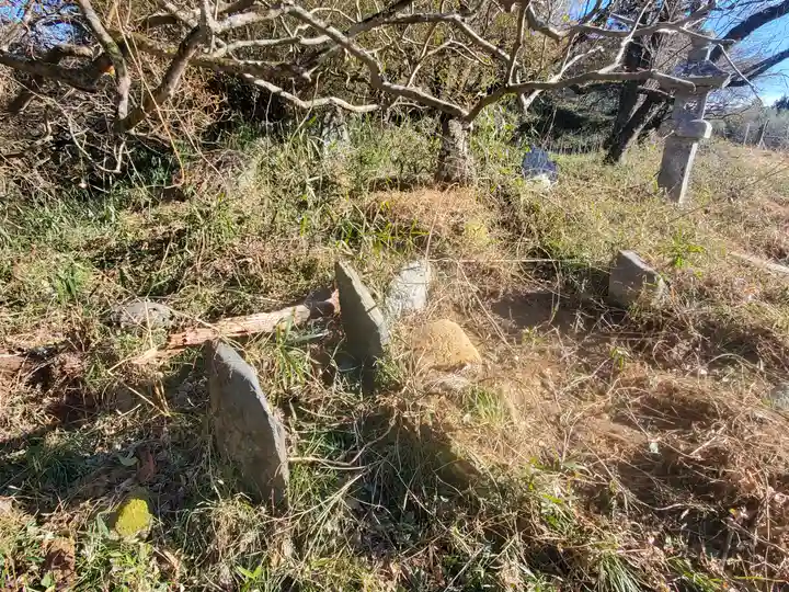 大塚神社(飛駒町)(栃木県)