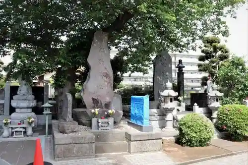 泉福寺のその他建物