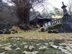 正法寺(埼玉県)