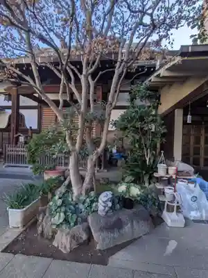 金蔵寺(東京都)