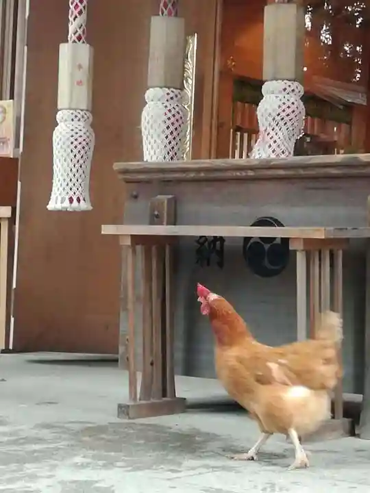 岩槻久伊豆神社の動物