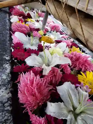 鳩森八幡神社の手水舎